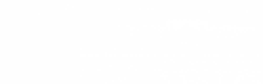 Renault Dacia